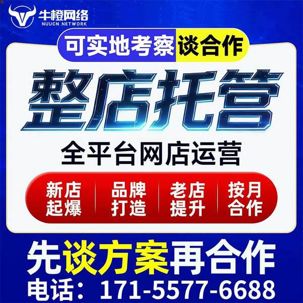 通化电商代运营