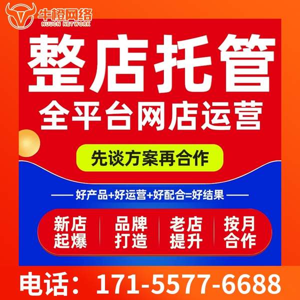通化电商代运营