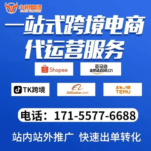 通化电商代运营